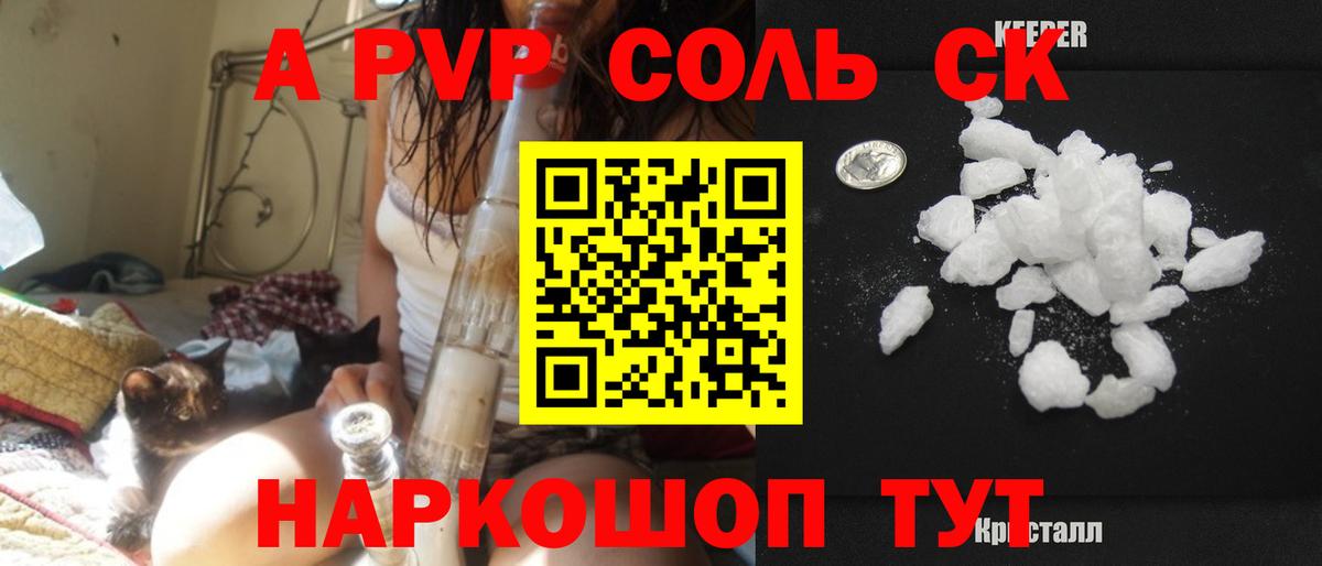 A PVP СК Котлас