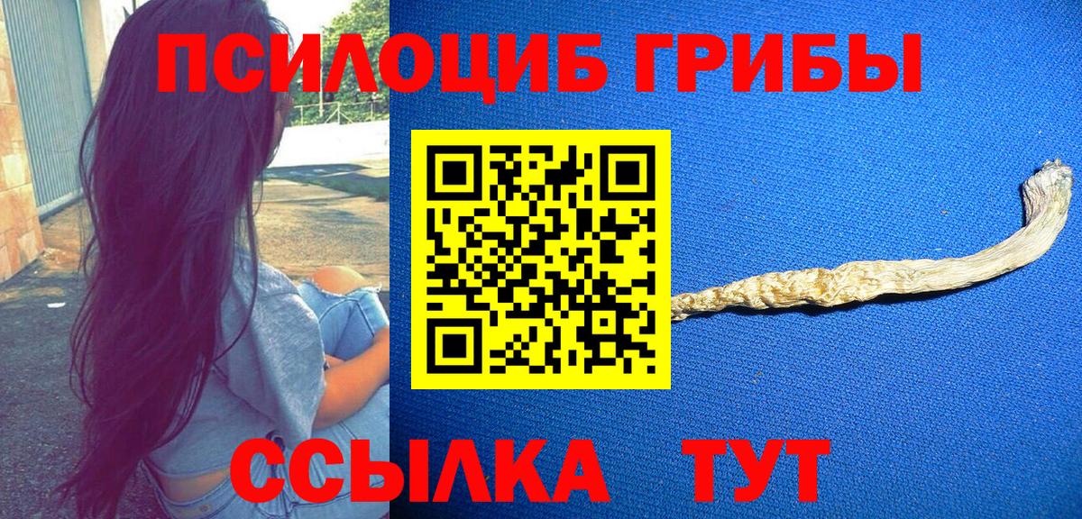 Галлюциногенные грибы мицелий  Галлюциногенные грибы мицелий  Котлас  Вход с VPN 