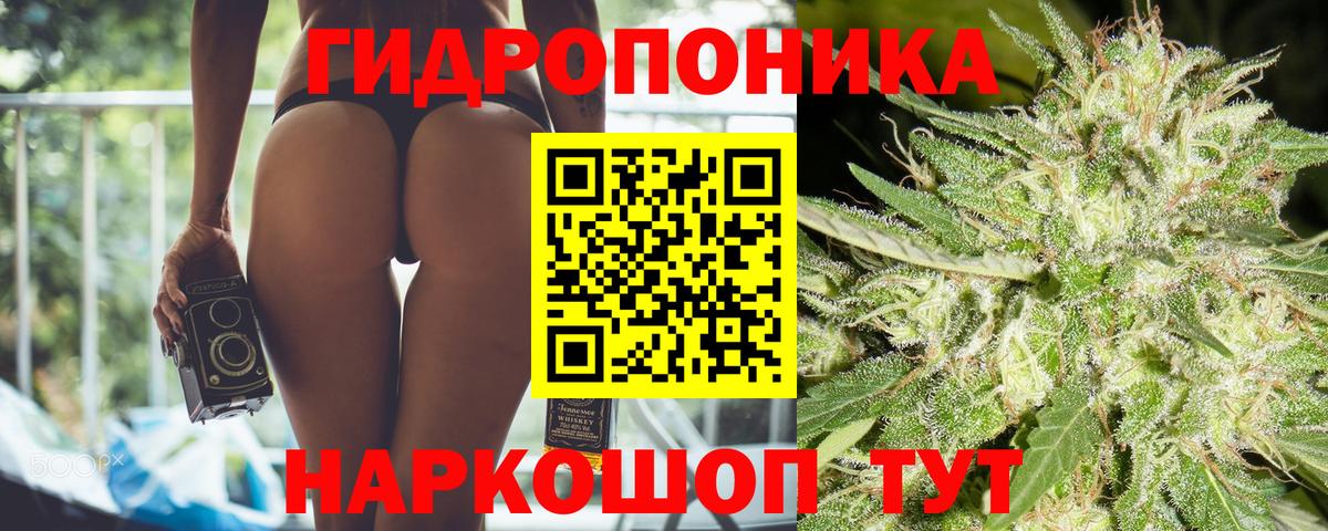 Каннабис индика Котлас